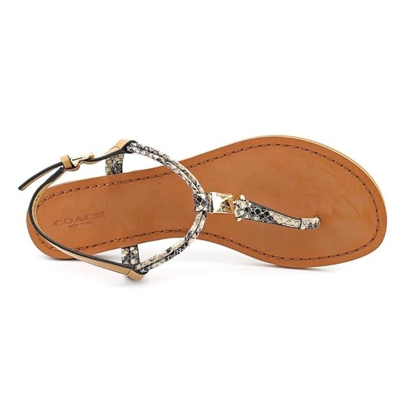 COACH: CHARLEEN NATION PRNT SNK - Picture 2 of 5